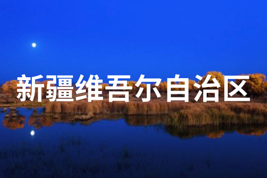 新疆维吾尔自治区
